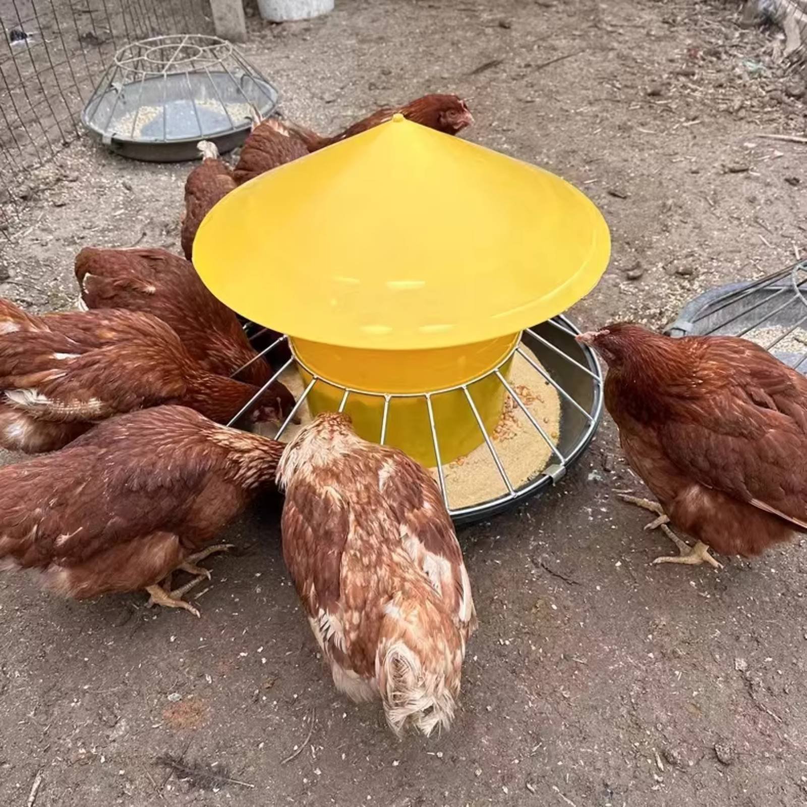 เครื่องให้อาหารไก่แบบกลม ความจ - Feeding บทวิจารณ์และราคา