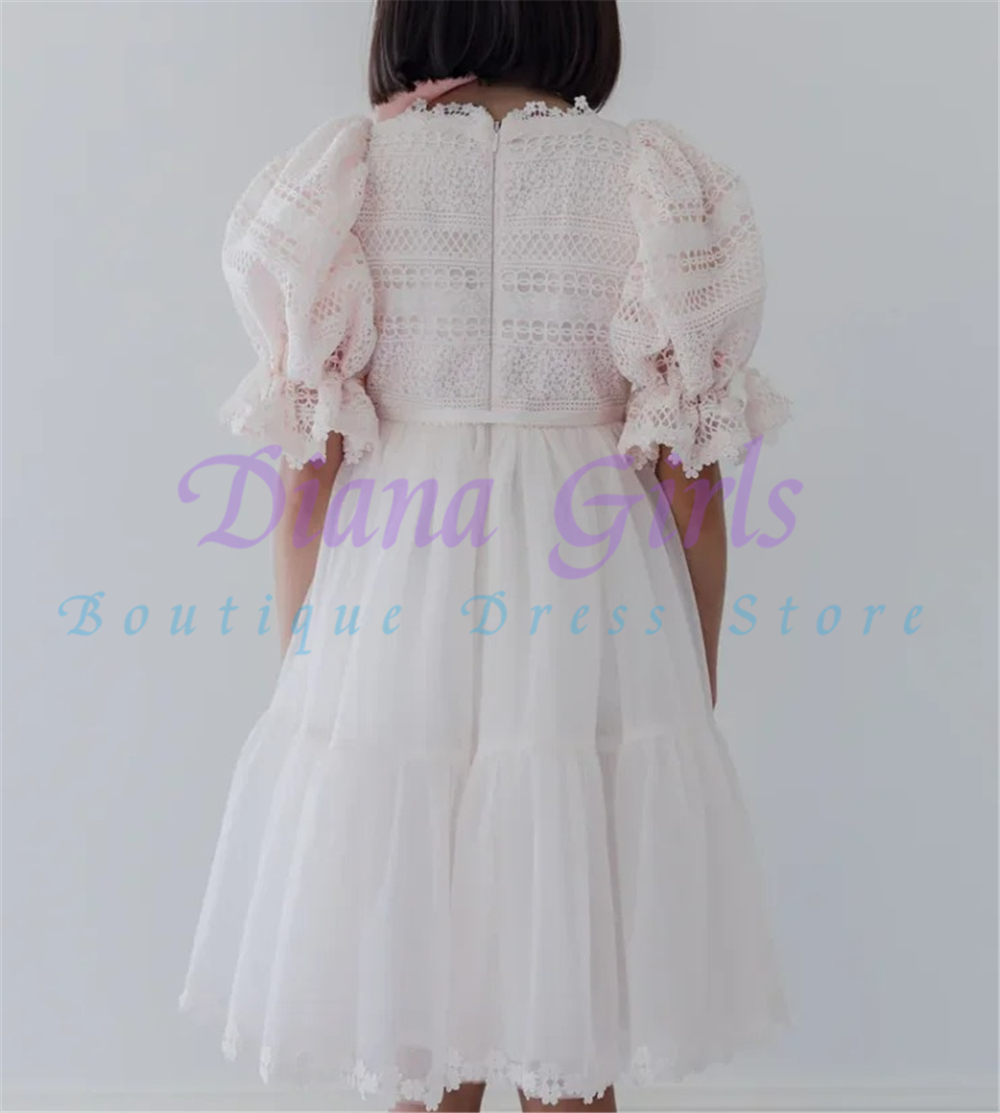 ชุดเดรสเด็กผู้หญิงสำหรับงานแต่ - Toddler Girl Tulle Party Dress บทวิจารณ์และราคา